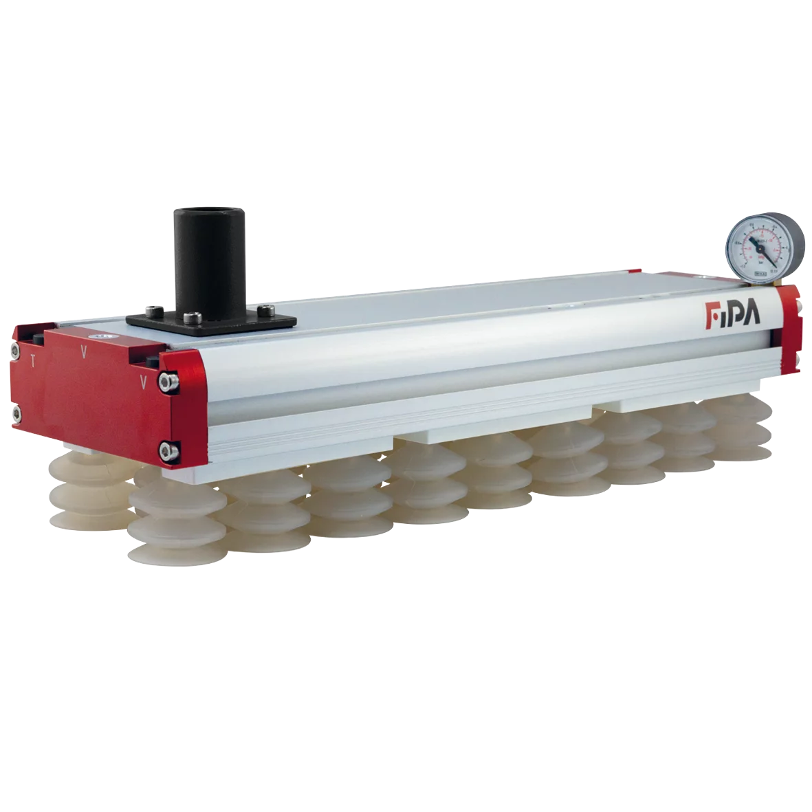 Area gripster FSG 434 mm, for cent. vacuum supply, check valves, cups Ø40 mm SI – Fläche Gripster-130 mit eingesteckten Vakuumbechern Durchmesser 40mm von FIPA
