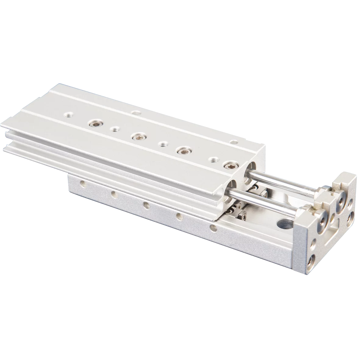 Guide block, piston diameter 16 mm, double acting, stroke 100 mm Vakuum-Gripster – Doppelwirkung von Führungsblöcken von FIPA